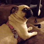 [드루와] 우리학교에 향수뿌리는애 있거든