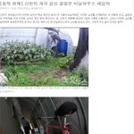 [밀착 취재] 신천지 개국 공신 결말은 비닐하우스 세입자