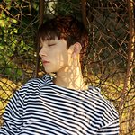 [세븐틴] 스ㅌㅏ캐스트 봤어ㅠㅠ?