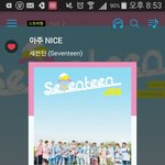 [세븐틴] 우리제발스밍하자ㅠㅠ