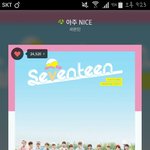 [세븐틴] ㅅㄷ 17번이여서