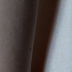 너희도 팔 다리 이래??