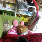 [고양이3분] <b>아오</b>랑 쿠로랑, 뜬금이랑