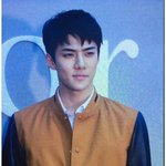 [EXO] 찬열 세훈 디올 <b>행사</b> 감