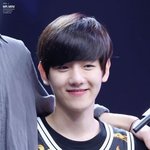 [백현] 변백현 이 날 멍뭉미 <b>만렙</b>