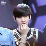 [백현] <b>변백현</b> 이 날 멍뭉미 천만렙