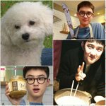 [방탄소년단] 방탄도 점점