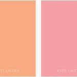 [드루와] <b>복숭아색</b>이 둘중에 뭐야??