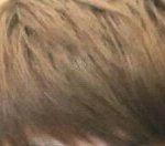 [EXO] 너네 또 다 틀림ㅋㅋㅋㅋㅋㅋ이거