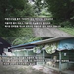 [도와주세요] 남양<b>주유</b>기견보호소 _ 200여마리유기견,유기묘들의...