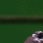 [루한] 루한 드라마 [택천기] 넘 기대되는 이유