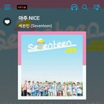 [세븐틴] 우리 글올릴때 <b>스</b><b>밍</b>인정사진 올려?