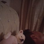 (추가)원래 <b>포</b>메리안이 이런가요??