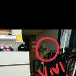 [EXO] <b>세후</b>니 방에 비비인형 있어ㅋ