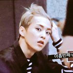 [시우민] 뭔가 <b>고쿠센</b>(일드)에 나올법한 예민불량미 쩌는 리더같은...