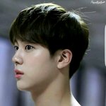 [방탄소년단] 맞아. 석진이는 <b>알파카</b>상이야