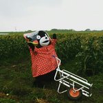 [드루와] <b>폰</b>게임추천좀,,