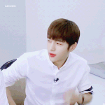 [인피니트] 니트 카페 질문있어 !!