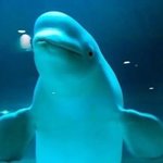 비누향 나면 어때??