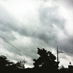 신기한 꿈이나 무서운 <b>꿈꾼</b> 거 공유하자