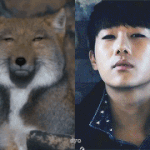 [인피니트] 성규가 닮은 <b>동물</b>들