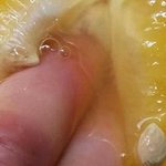 [세븐틴] 수<b>월래</b>