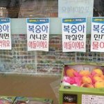 와 ㅅ씨바 얘들아 나 가슴커졌다