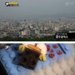 [공감소리] 초등학생 <b>도끼</b> 살인 사건