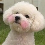[EXO] 작작나대 <b>영자</b>야