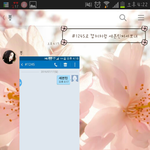 [세븐틴] 동생한테도 투표시켰다규..ㅇㅅㅇ