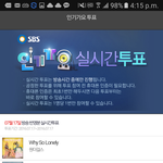 [세븐틴] 타팬 투표 인증 왔어요~