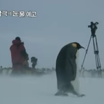 [시우민] 잘 들어요 내 <b>Boy</b>