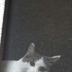 겜하다가 <b>창문</b>봤는데