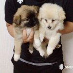 얘들아진짜급<b>해다</b>들와봐