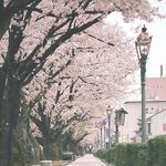 [댓글부탁해] 내 꿈이 <b>교사</b>인ㄴ데 들어와주라!!