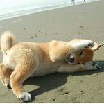 웹툰 추천!!