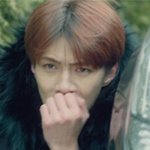 [EXO] 에리디봉으로 눝하면 조카 웃기겠다