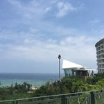 캠핑장 모기<b>예보</b>제 확인하고 가세요