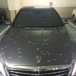 [개깊은빡침] 벤츠코리아 한X!! 대한민국 소비자가 언제까지 호구여야...