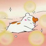 ㅅㅂ개<b>이득</b>!!!!!