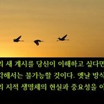 새로운 신