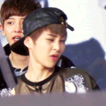 [EXO] 울집고양이 <b>사춘</b>긴가봄