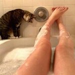 <b>집사</b>에겐 허락되지 않는 사생활