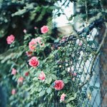 [루한] <b>so</b> listen