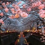 [루한] 배경화면 짤<b>풀이</b>