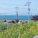 [루한] 배경화면 짤<b>풀이</b>