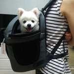 <b>동반</b>휴가준비^^