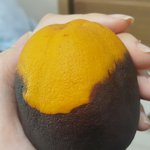 [댓글부탁해] 세안의 중요성을 유자로 알려주지