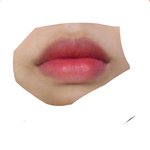 너네 페리페라 <b>잉크</b> 더 벨벳 꼭 써보셈..