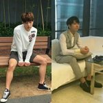 [인피니트] 대형견 <b>소형</b>견